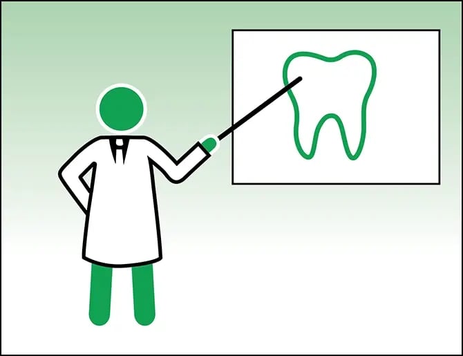 a dentist standing in front of a diagram of a tooth